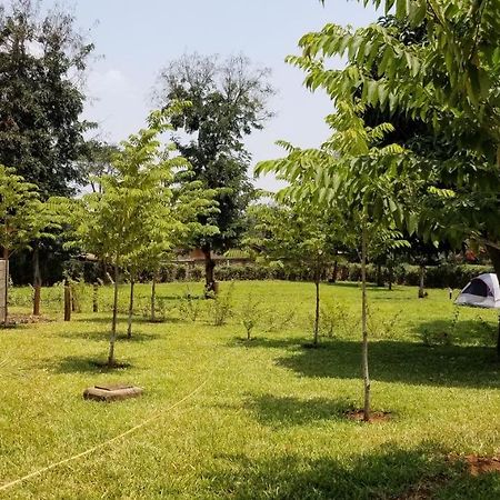 Aivlys Lodge Kilimanjaro Msaranga Bagian luar foto