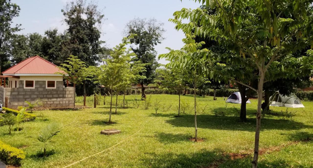Aivlys Lodge Kilimanjaro Msaranga Bagian luar foto
